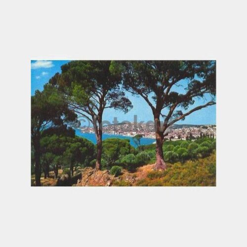 Ayvalık Genel Görünüş Kartpostal