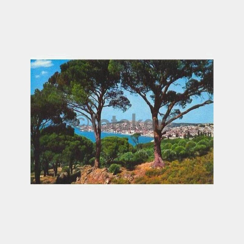 Ayvalık Genel Görünüş Kartpostal