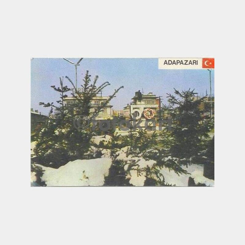 1973 Adapazarı Bulvar Kış Manzarası Kartpostal