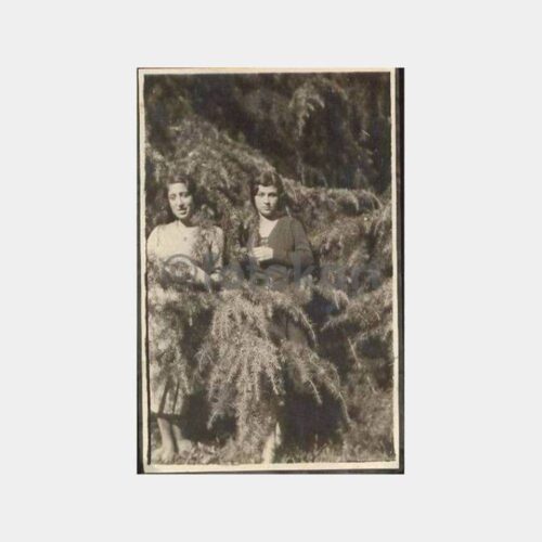 Çamların Arasında İki Genç Kız Fotoğraf