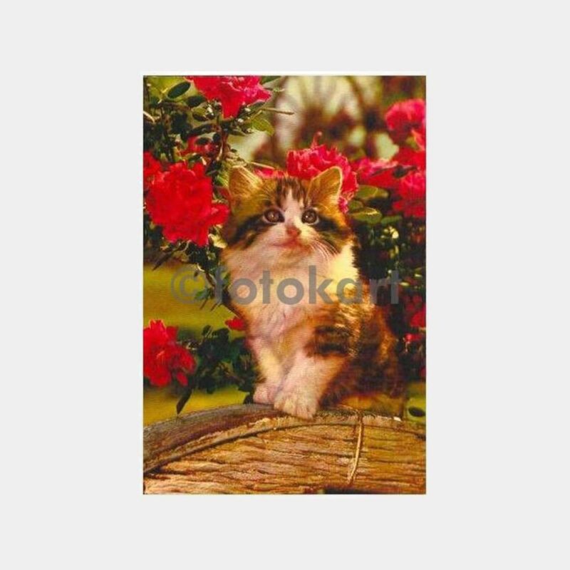 Çiçeklerin Arasındaki Sevimli Kedi Kartpostal