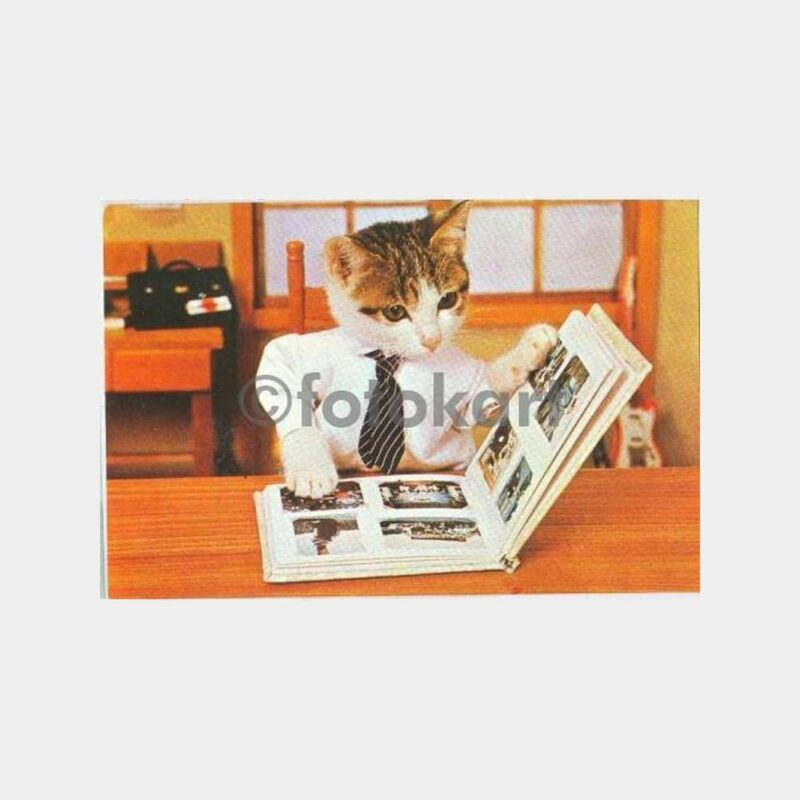 Kedi Konulu Fantazi Tebrik Kartpostal