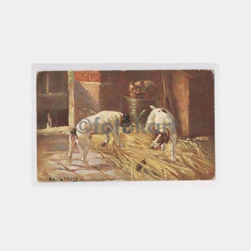 Kediler ve Köpekler Konulu Tablo Kartpostal
