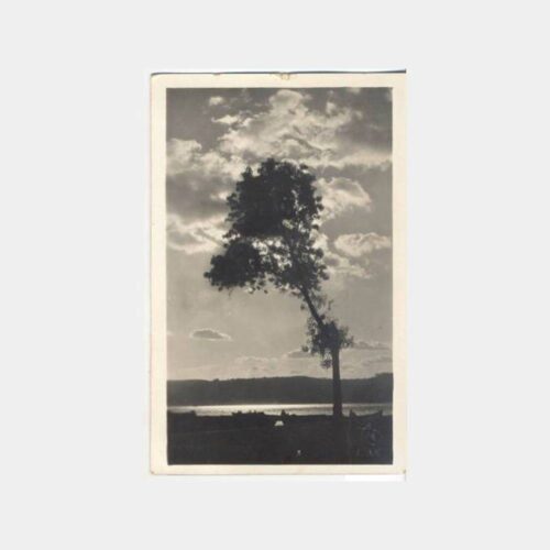 Foto Misak Boğaziçi Tarabya Kıyısı Fotokart