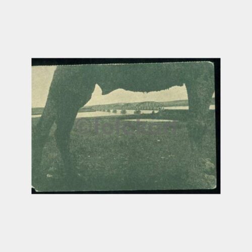 1940 Anadolu Demiryolu Köprüsü Kartpostal