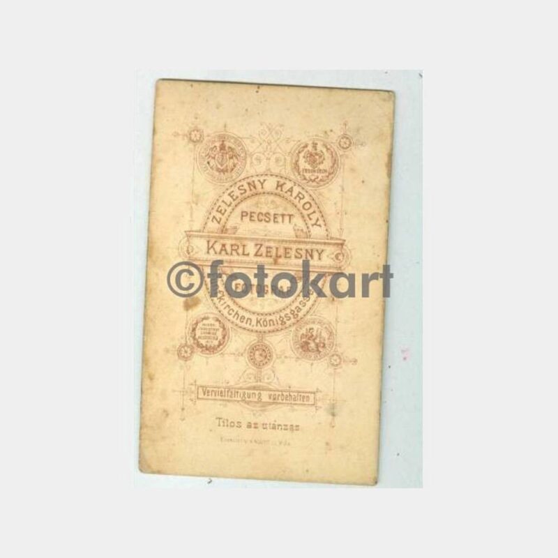 1900 Avusturya Macaristan Bay Kabinet Fotoğraf - Görsel 2