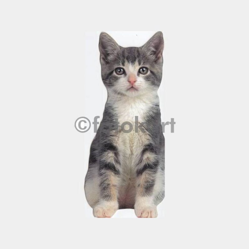 Kedi Konulu Tebrik Kartları - Görsel 3