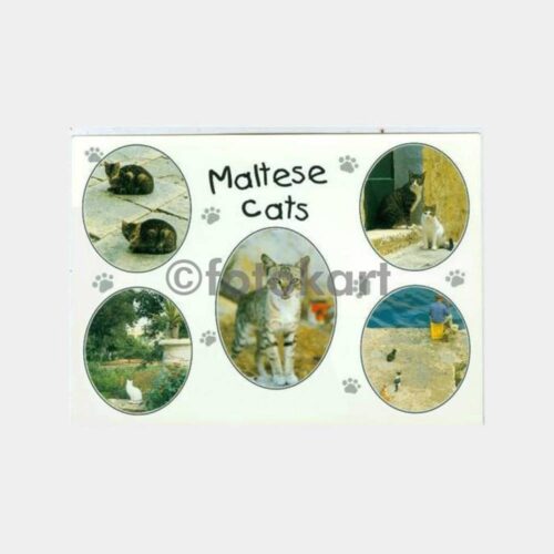 1990 Malta Adası Kedileri Konulu Kartpostal