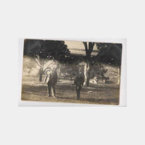 Boğaziçi veya Adalar Çamlık Görünüş Fotoğraf