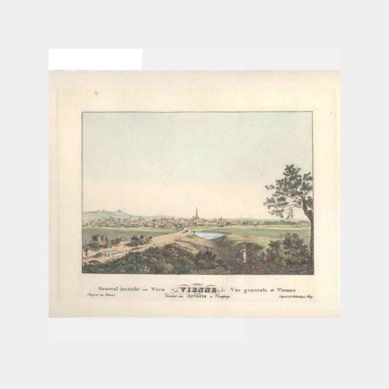 Avusturya Viyana Taşbaskı Gravür Kartpostal