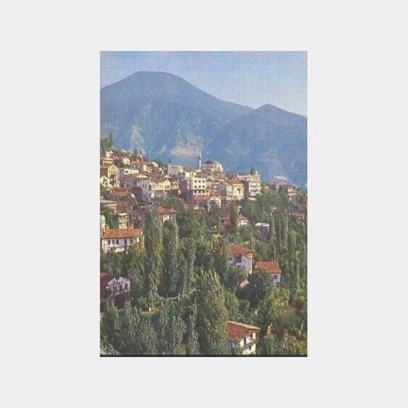 Artvin Şehirden Görünüş Kartpostal