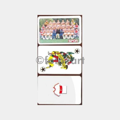 Milli Takım 3 Adet İskambil Kartı