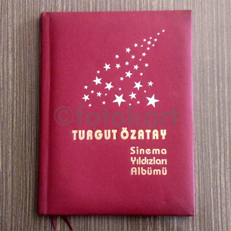 Turgut Ã–zatay