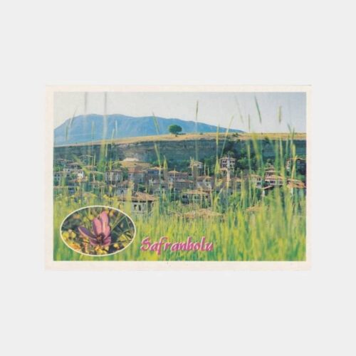 Safranbolu Safran Çiçek Tarihi Evler Konulu Kartpostal