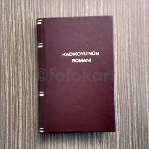 Kadıköyü'nün Romanı