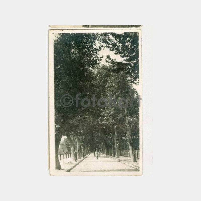 1935 Adapazarı Çark Suyu Görünüş Kartpostal