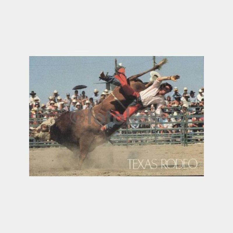 ABD Teksas Atlı Gösteri Kovboy Rodeo Kartı