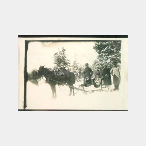 1931 Sarıkamış Atlı Kızak Konulu Fotoğraf