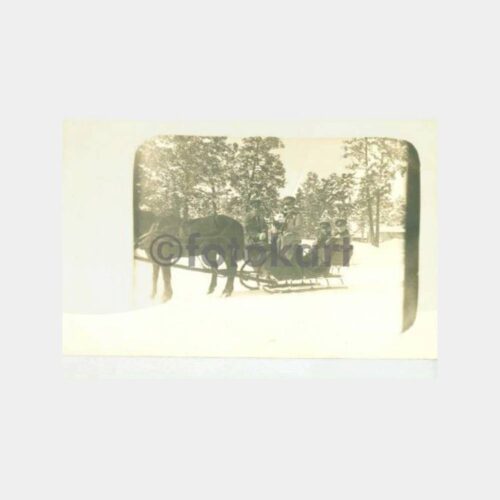 1929 Sarıkamış Atlı Kızak Konulu Fotoğraf