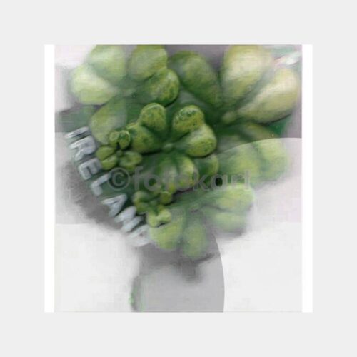 İrlanda Yonca Yaprak Konulu Magnet