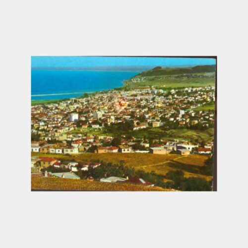 1970 Samsun Genel Görünüş Kartpostal