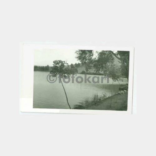 1955 Hatay Reyhanlı Yenişehir Gölü Fotoğraf