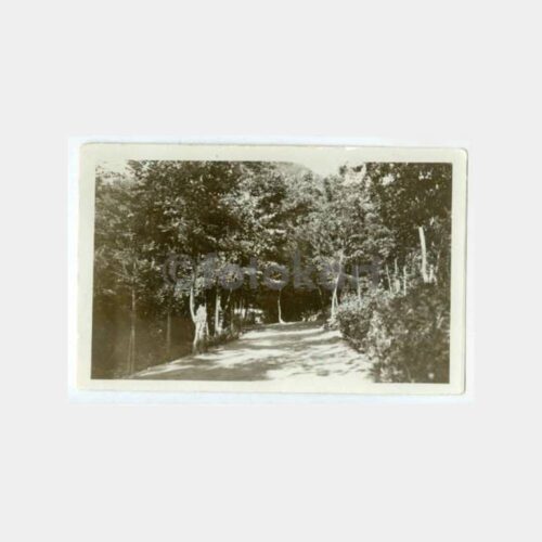 1934 Bursa Yalova Yolu Görünüş Kartpostal