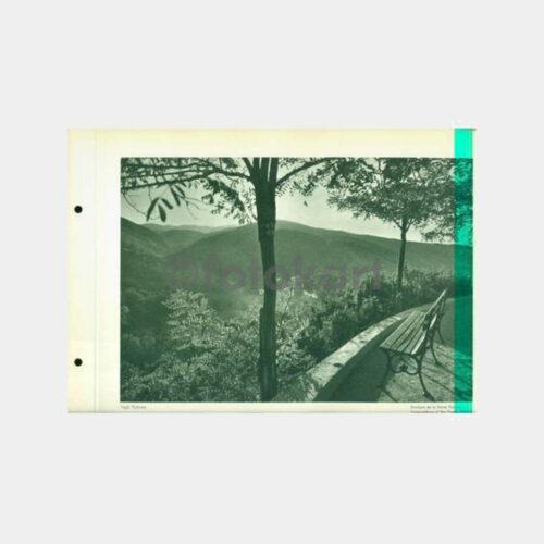 1934 Yalova Basın Yayın Albümü Sayfası