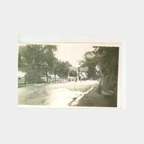 1933 Yalova Dağ Hamamı Yolu Görünüş Fotoğraf