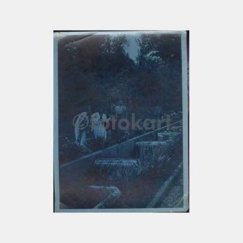 1940 Yalova Park Konulu Fotoğraf