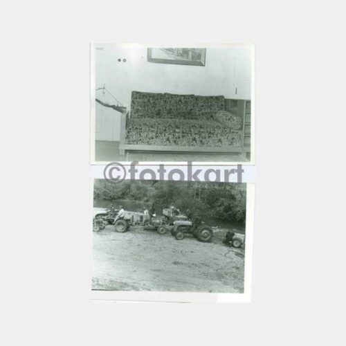 1950 Yalova Devlet Üretme Çiftliği Fotoğraflar