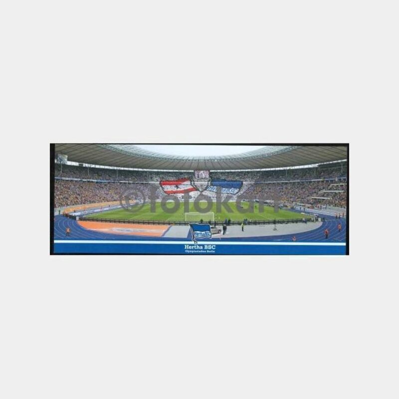 Almanya Herta Berlin Futbol Olimpiyat Stadı Kartpostal
