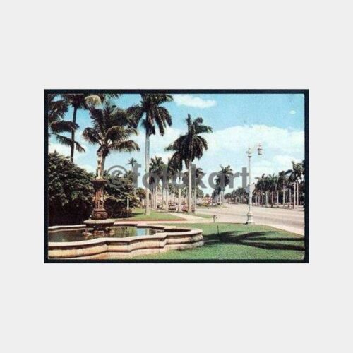 Florida ABD Şehir Kartpostal