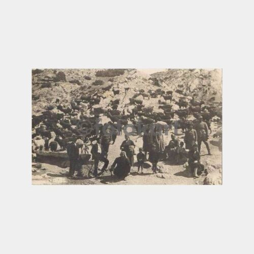 Köy Yaşamı Hayvancılık Fotoğraf