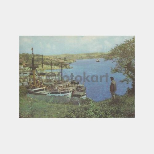 İstinye Koyu Kayseri Şilebi Konulu Resim