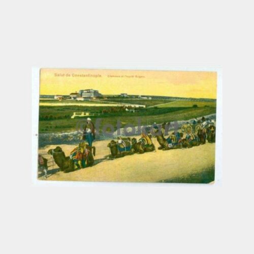 1910 Okmeydanı Bulgar Hastanesi Önü Kervan Kartpostal