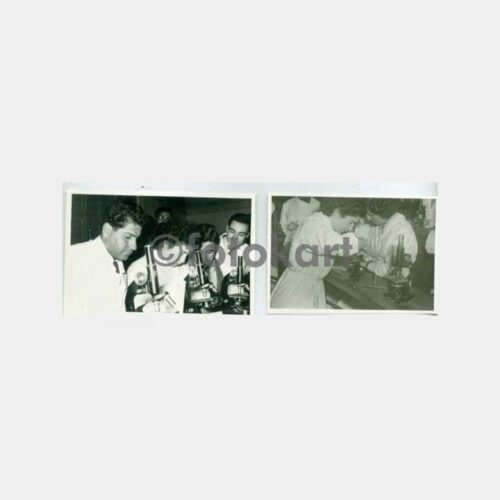 Tıp Tarihi Histoloji Türkan Erbengi Fotoğraf