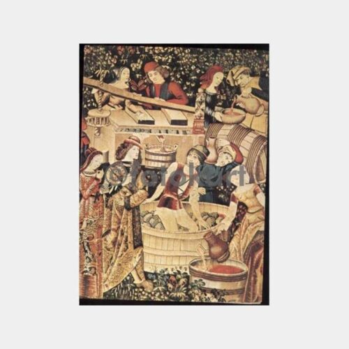 Avrupa Tıp Konulu Baskılı Tebrik Kartı