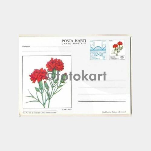 1983 Çiçek Resimli -Karanfil- Posta Kartı