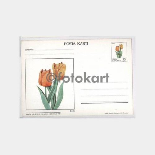 1983 Lale Çiçek Resimli Damgasız Posta Kartı