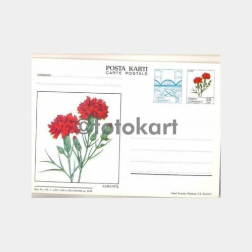 1983 Çiçek Resimli -Karanfil- Posta Kartı