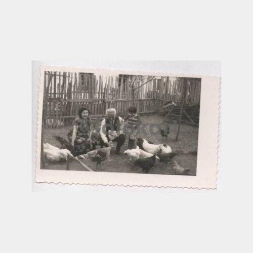 Ev Bahçesinde Aile ve Kümes Hayvanları Fotoğraf