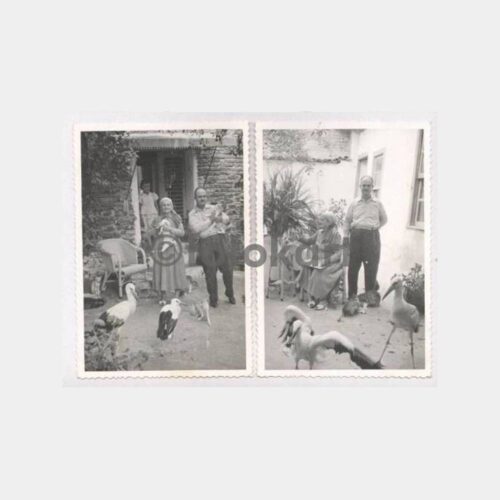 1966 Nazilli Aile Görünüş Fotoğraf