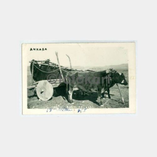 1933 Ankara Kağnı Arabası Konulu Fotoğraf
