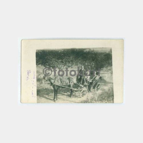 1929 Ankara Aktepe Bağları Fayton Fotoğraf