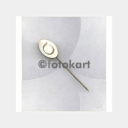 Eğitim Kurumu Konulu Rozet