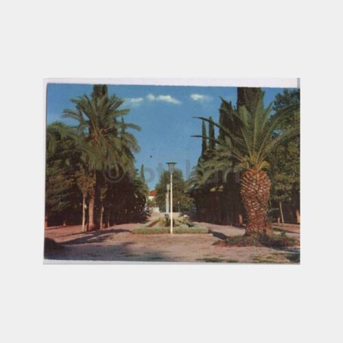 Antalya Şehir Park Görünüş Kartpostal