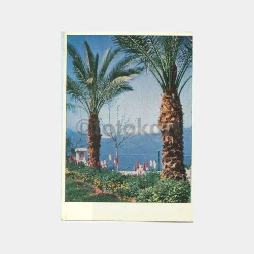 1960 Antalya Park Turizm Bakanlık Kartpostal