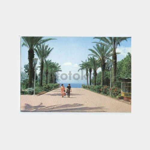 1970 Antalya Park Görünüş Kartpostal