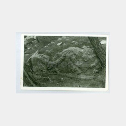 1974 Antalya Kumluca İdebessos Antik Şehir Fotoğraf